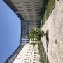 IMG 3085